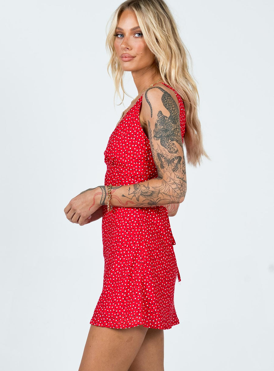 Nellie Mini Dress Red Floral · photo 4