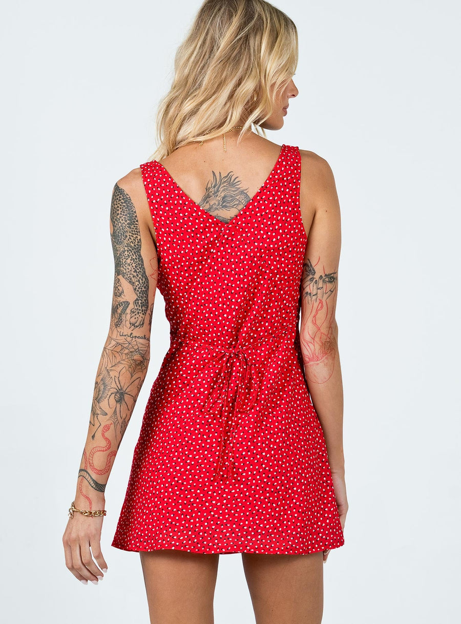 Nellie Mini Dress Red Floral · photo 5