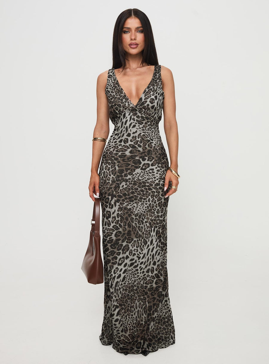 Nellie Maxi Dress Leopard · photo 7