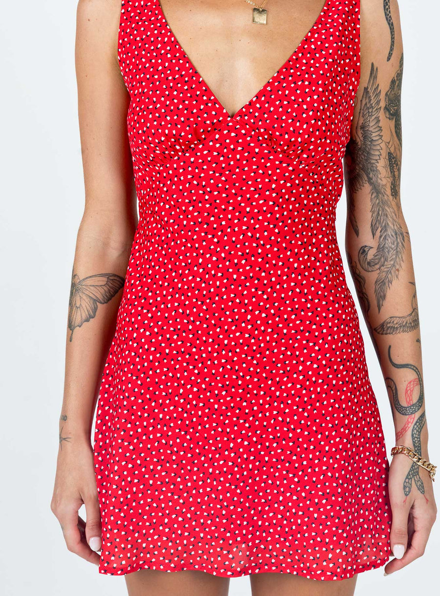 Nellie Mini Dress Red Floral · photo 6